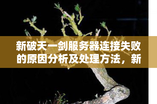 新破天一剑服务器连接失败的原因分析及处理方法,新破天一剑服务器连接失败,原因分析与处理方法 新破天一剑服务器连接失败的原因分析及处理方法,新破天一剑服务器连接失败,原因分析与处理方法