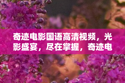 奇迹电影国语高清视频图片