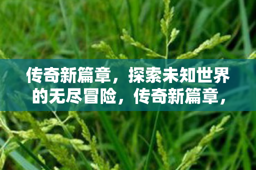 探索未知世界的无尽冒险图片