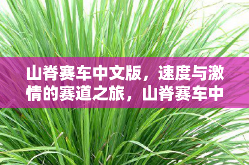 速度与激情的赛道之旅图片