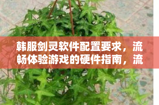 流畅体验韩服剑灵的硬件配置指南图片