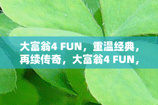 大富翁4 FUN图片