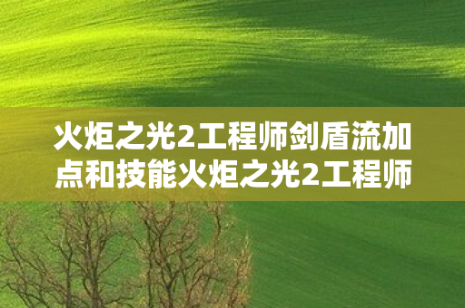 火炬之光2工程师剑盾流加点和技能火炬之光2工程师剑盾流加点指南图片