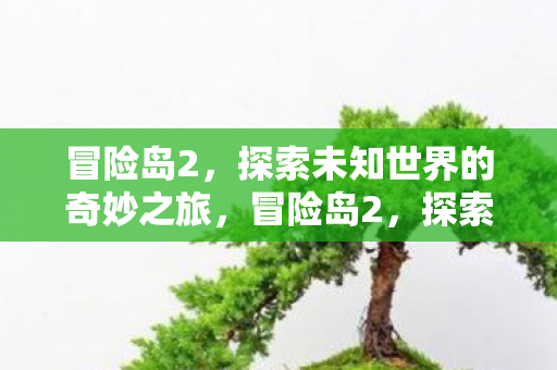 冒险岛2，探索未知世界的奇妙之旅，冒险岛2，探索未知世界的奇妙之旅