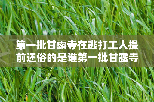 第一批甘露寺在逃打工人提前还俗的是谁第一批甘露寺在逃打工人提前还俗图片