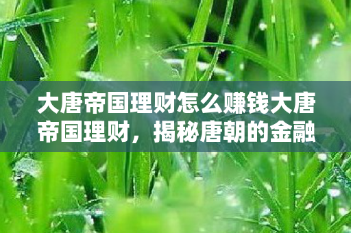 大唐帝国理财怎么赚钱大唐帝国理财图片