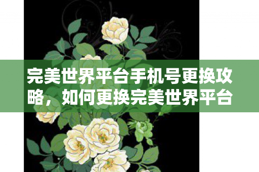 完美世界平台手机号更换攻略，如何更换完美世界平台手机号？