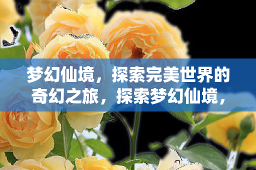 梦幻仙境,探索完美世界的奇幻之旅,探索梦幻仙境,完美世界的奇幻之旅 梦幻仙境,探索完美世界的奇幻之旅,探索梦幻仙境,完美世界的奇幻之旅