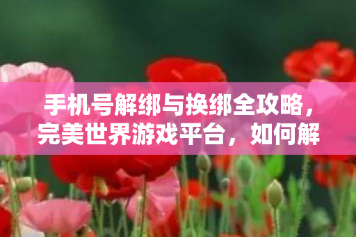 手机号解绑与换绑全攻略,完美世界游戏平台,如何解绑与换绑完美世界游戏平台手机号? 手机号解绑与换绑全攻略,完美世界游戏平台,如何解绑与换绑完美世界游戏平台手机号?