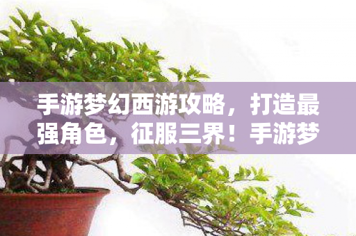 手游梦幻西游攻略图片