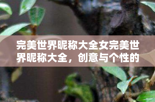 完美世界昵称大全女完美世界昵称大全,创意与个性的碰撞,创意与个性碰撞,完美世界女性昵称大全 完美世界昵称大全女完美世界昵称大全,创意与个性的碰撞,创意与个性碰撞,完美世界女性昵称大全