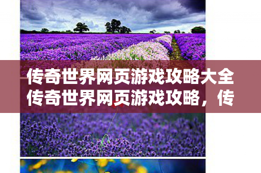 传奇世界网页游戏攻略大全传奇世界网页游戏攻略图片