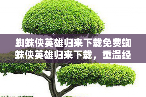 蜘蛛侠英雄归来下载免费蜘蛛侠英雄归来下载图片