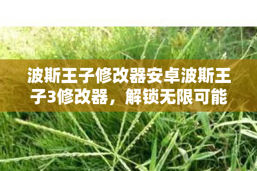 波斯王子修改器安卓波斯王子3修改器图片