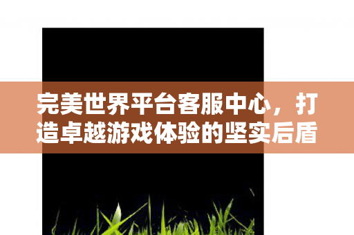 完美世界平台客服中心,打造卓越游戏体验的坚实后盾,打造卓越游戏体验,完美世界平台客服中心成为坚实后盾 完美世界平台客服中心,打造卓越游戏体验的坚实后盾,打造卓越游戏体验,完美世界平台客服中心成为坚实后盾