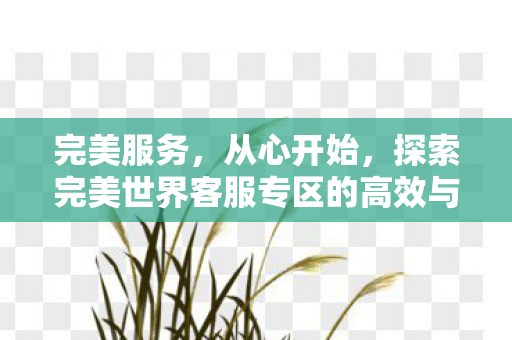 完美服务,从心开始,探索完美世界客服专区的高效与贴心,探索高效与贴心的完美服务,完美客服专区体验 完美服务,从心开始,探索完美世界客服专区的高效与贴心,探索高效与贴心的完美服务,完美客服专区体验
