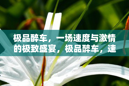 一场速度与激情的极致盛宴图片
