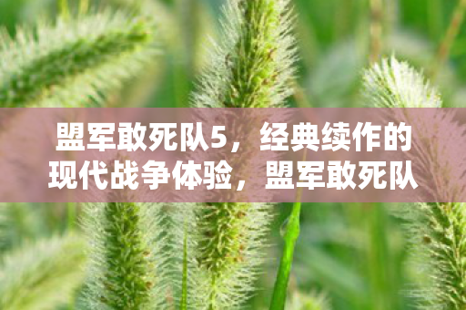 经典续作的现代战争体验图片