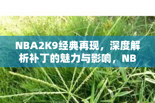 深度解析补丁的魅力与影响图片