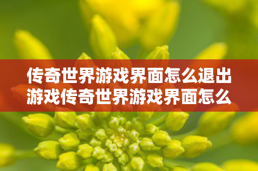 传奇世界游戏界面怎么退出游戏传奇世界游戏界面怎么退出图片