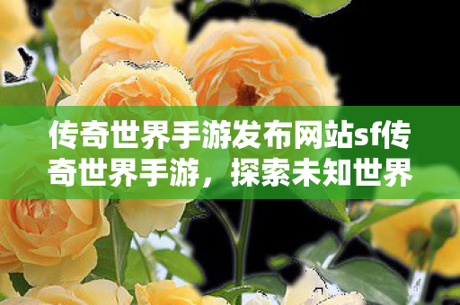 传奇世界手游发布网站sf传奇世界手游图片