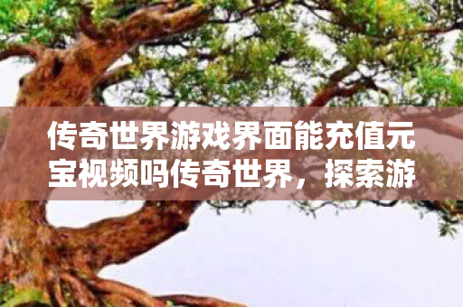 传奇世界游戏界面能充值元宝视频吗传奇世界图片