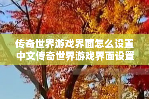 传奇世界游戏界面怎么设置中文传奇世界游戏界面设置指南图片