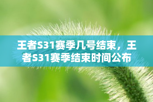 王者S31赛季结束时间公布图片