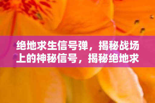 揭秘绝地求生中的神秘信号弹图片