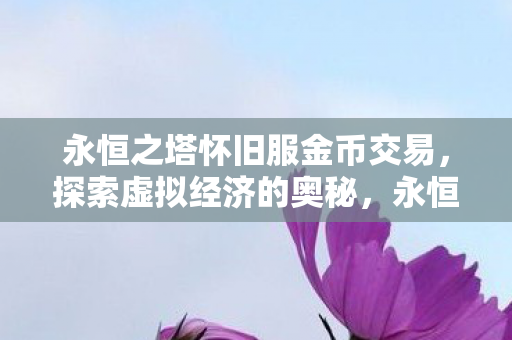 永恒之塔怀旧服金币交易图片