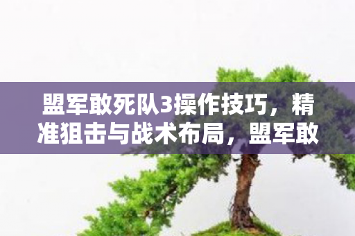 精准狙击与战术布局操作技巧图片