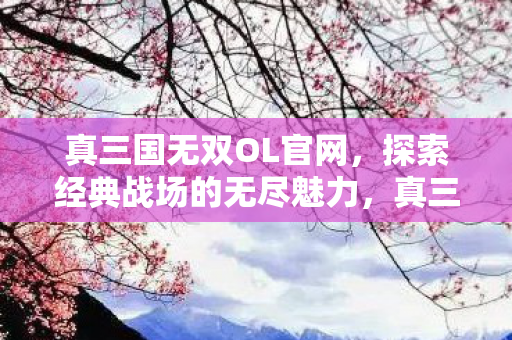探索经典战场的无尽魅力图片