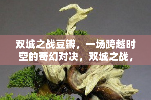 一场跨越时空的奇幻对决图片