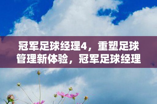 重塑足球管理新体验图片