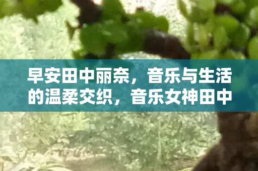 音乐与生活的温柔交织图片