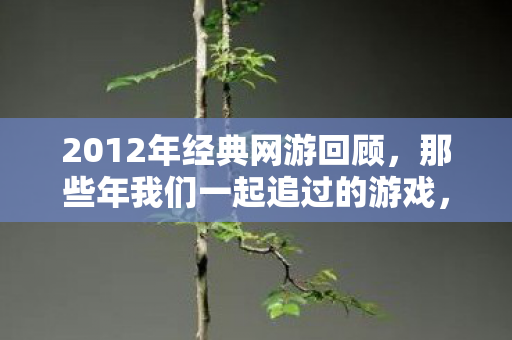 那些年我们一起追过的游戏图片