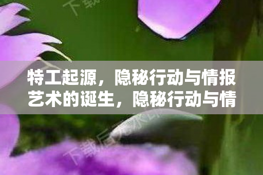 隐秘行动与情报艺术的诞生图片