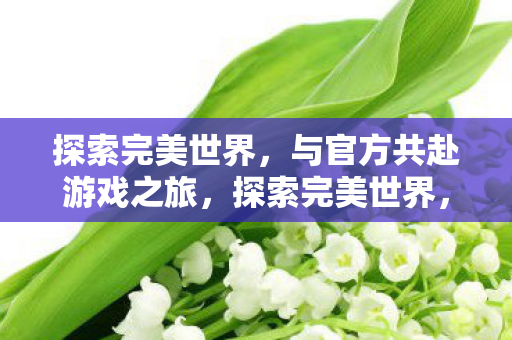 探索完美世界,与官方共赴游戏之旅,探索完美世界,与官方共赴游戏之旅 探索完美世界,与官方共赴游戏之旅,探索完美世界,与官方共赴游戏之旅