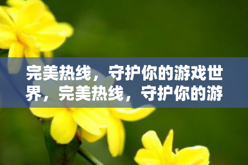 完美热线，守护你的游戏世界，完美热线，守护你的游戏世界安全