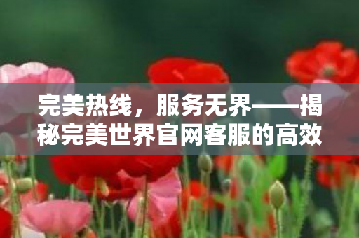 完美热线,服务无界——揭秘完美世界官网客服的高效与便捷,揭秘,完美世界官网客服的高效与便捷服务 完美热线,服务无界——揭秘完美世界官网客服的高效与便捷,揭秘,完美世界官网客服的高效与便捷服务