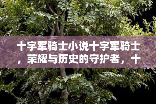 十字军骑士小说十字军骑士图片