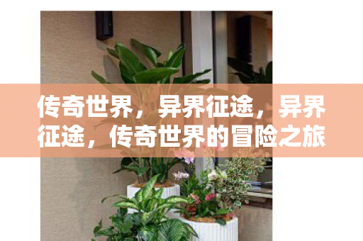 传奇世界的冒险之旅图片