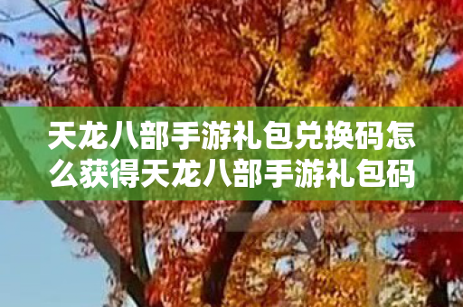 天龙八部手游礼包兑换码怎么获得天龙八部手游礼包码兑换指南图片