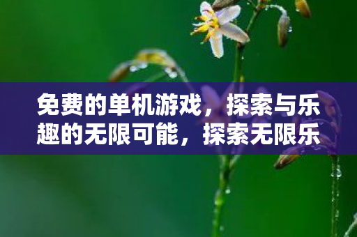 探索与乐趣的无限可能图片