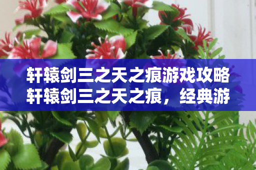 轩辕剑三之天之痕游戏攻略轩辕剑三之天之痕图片