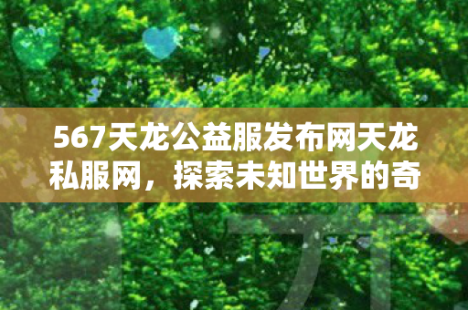 567天龙公益服发布网天龙私服网图片
