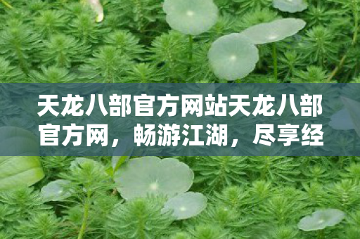 天龙八部官方网站天龙八部官方网图片