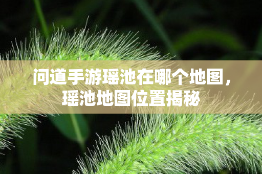 问道手游瑶池在哪个地图,瑶池地图位置揭秘 问道手游瑶池在哪个地图,瑶池地图位置揭秘