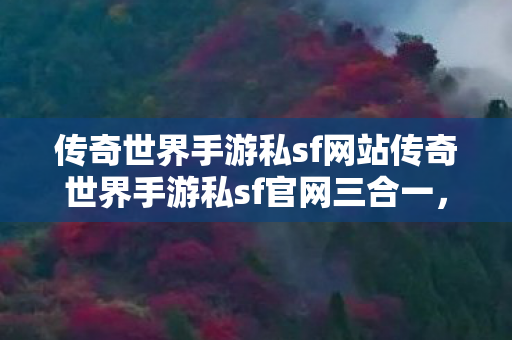 传奇世界手游私sf网站传奇世界手游私sf官网三合一图片