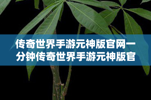 传奇世界手游元神版官网一分钟传奇世界手游元神版官网图片